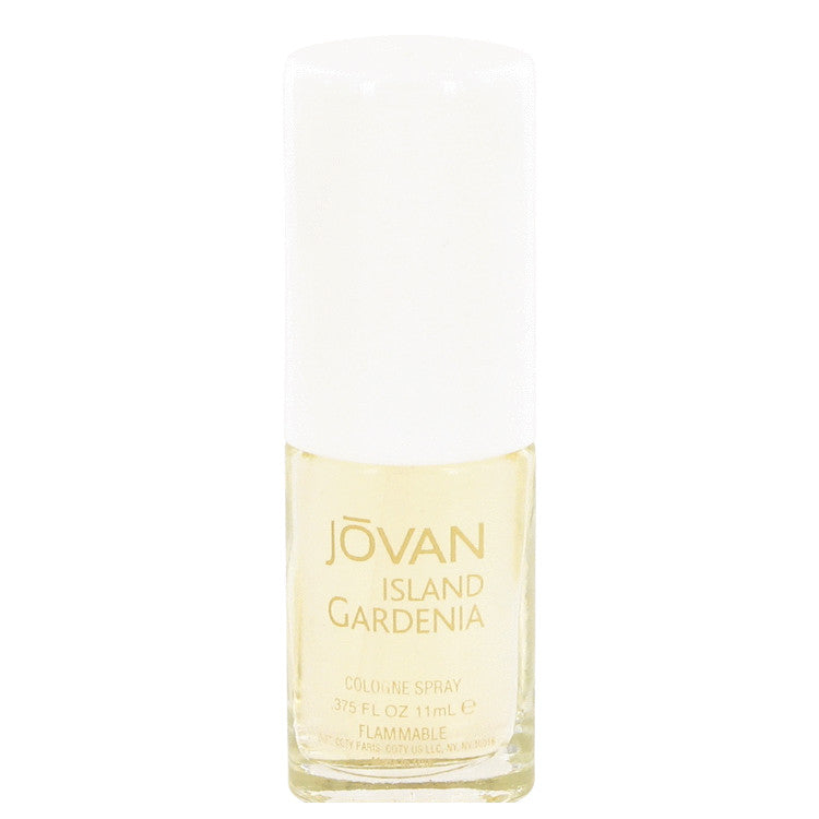 Jovan Island Gardenia