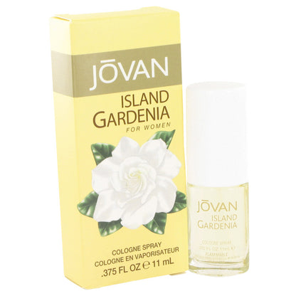 Jovan Island Gardenia