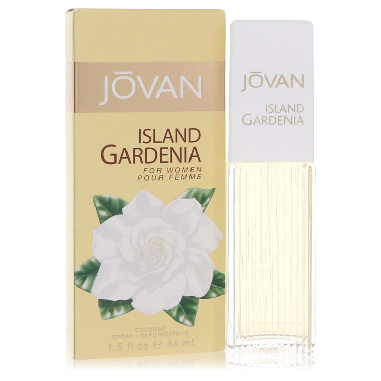 Jovan Island Gardenia